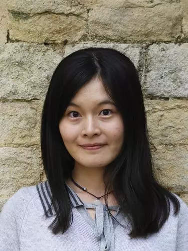 Linqing Zhu