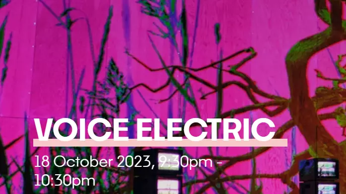 voice electric