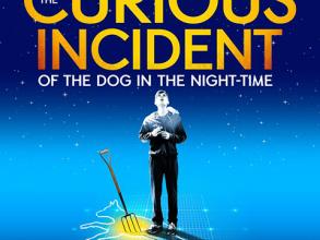 curious incident of the dog in the night-time